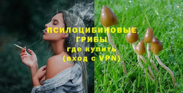 прущая мука Арсеньев