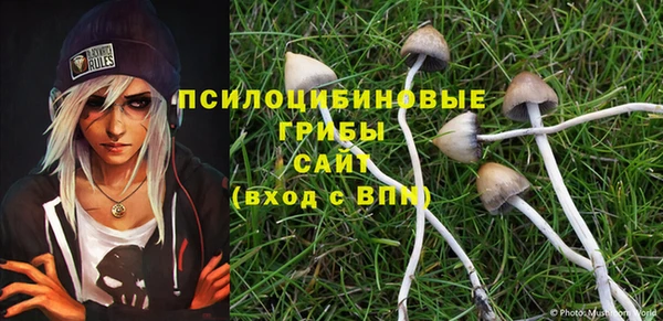 прущая мука Арсеньев