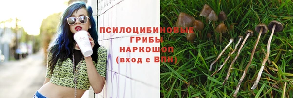 а пвп мука Армянск