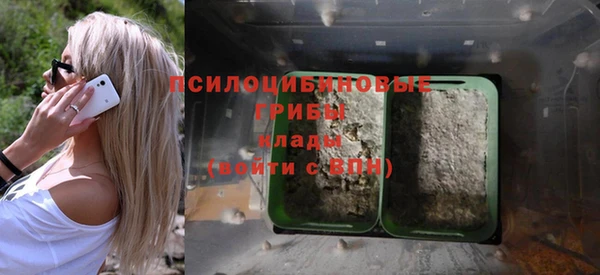 прущая мука Арсеньев
