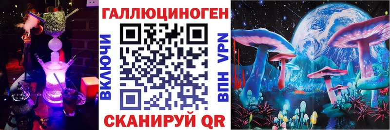 где найти наркотики  Петухово  Галлюциногенные грибы Psilocybine cubensis 